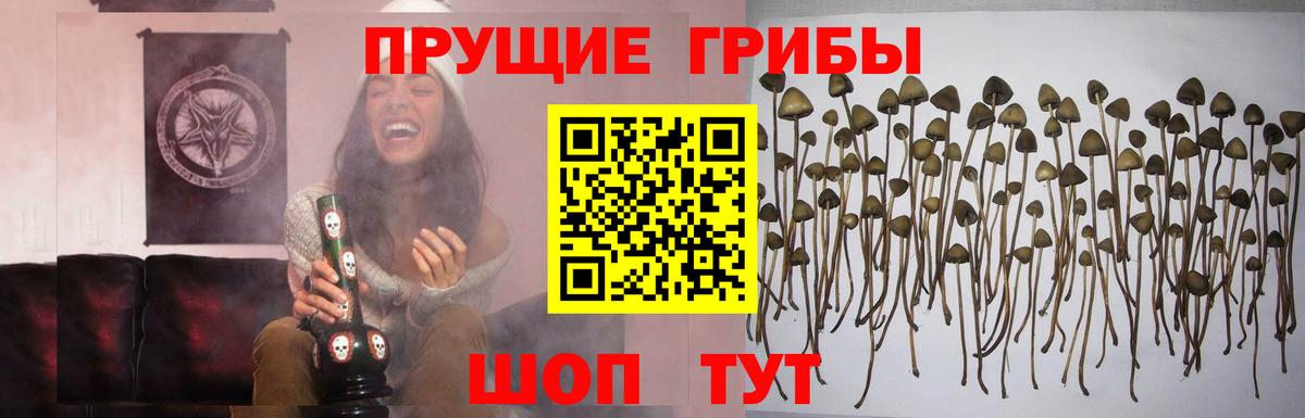 Галлюциногенные грибы Magic Shrooms  Вход с VPN  Великий Устюг 